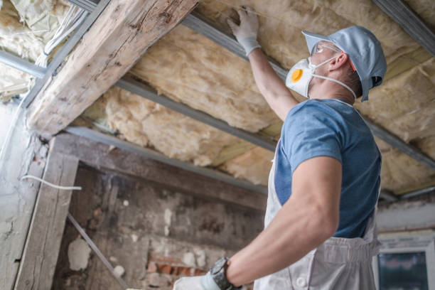 Benefits of Cost-Effective Attic Insulation in Toronto