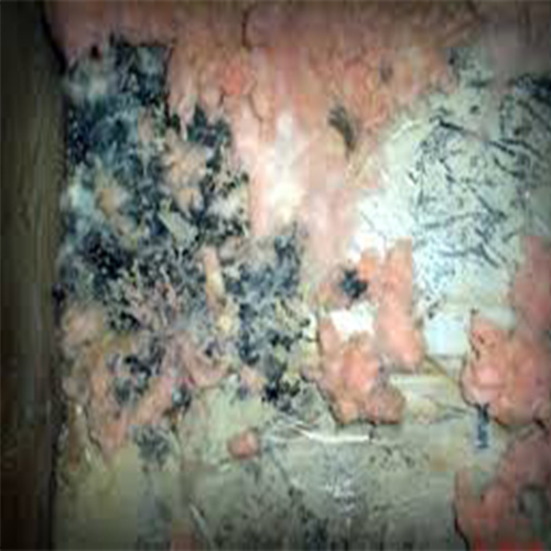 Spray Foam Insulation Mold Free
