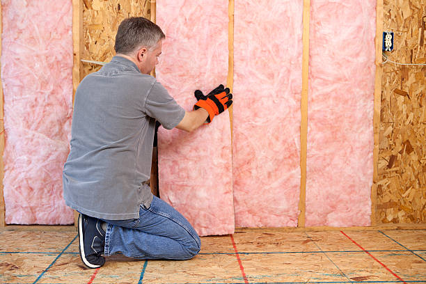 Beyond Comfort: Unveiling the Transformative Power of Home Insulation